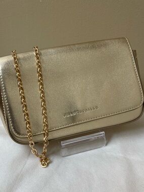 Chantecaille Metallic Gold Clutch Bag NWOT
